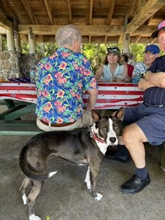 IMG_2041