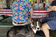 IMG_2041